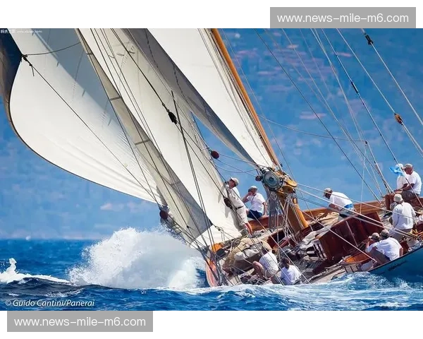 开云体育赛事观察——洞见赛事新纪元